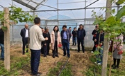林下食用菌栽培现场观摩及品鉴会在嘉定区顺利召开