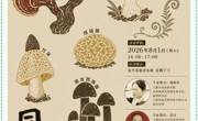 农科赋能烟火市集——国森菌菇亮相沪派江南复兴大集