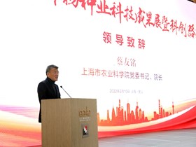 一起向未来——虎年我院首次重大科创路演活动在金山举行