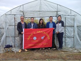 【先行区共建】“科创中国”长三角鲜食玉米产业服务团赴金山区后岗村鲜食玉米示范基地开展技术指导