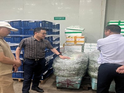我院保鲜加工技术人员赴青浦蔬菜基地进行技术服务