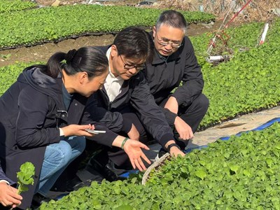 沈晓晖副院长带队考察金山农业科技示范基地