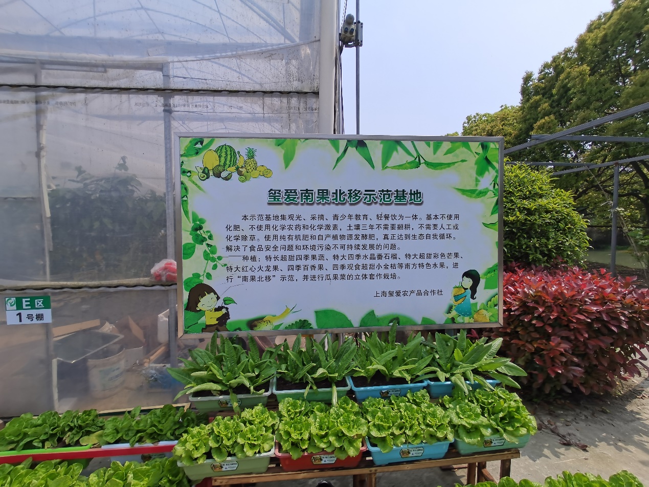b3c0285f6d394bc39ba55a8247465fae.Jpeg