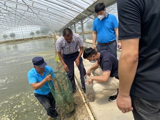 我院科技人员赴金山南美白对虾基地开展调研