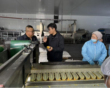 信息所联合新疆大学赴新疆沙湾开展鲜食玉米加工产业调研