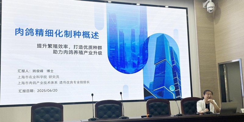 畜牧兽医研究所姚俊峰研究员应邀为“2025年上海市肉鸽养殖技术培训班”授课