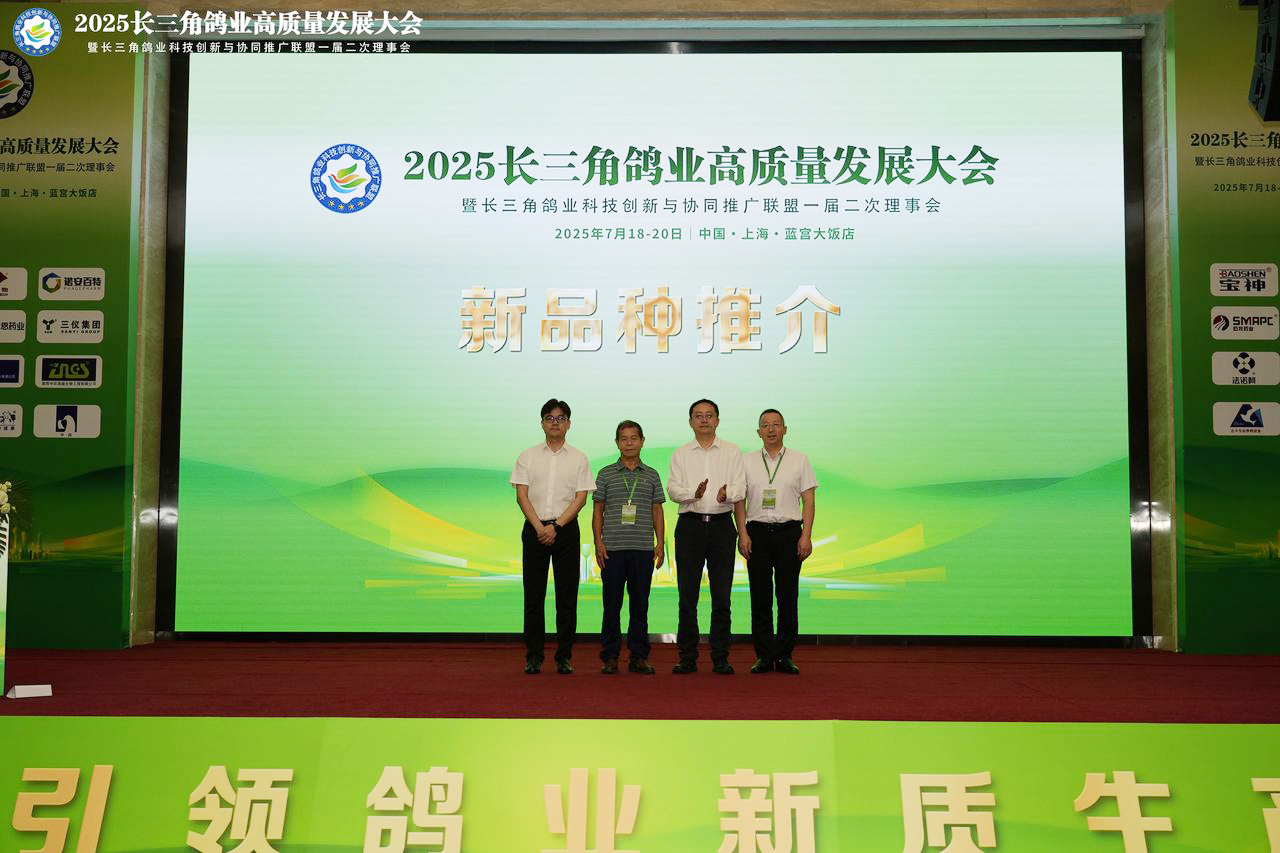 4cd89e4e1aa24925a83f38fa41005f55.jpg