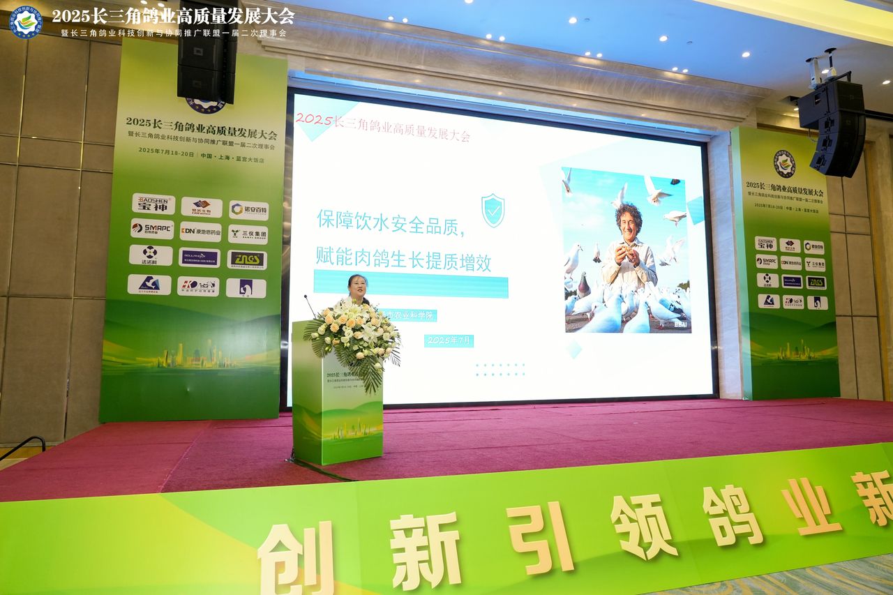 70bbcc80ccc2432cb3f3763ac122d443.jpg