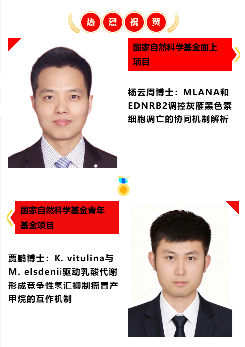 589cee13071c47bd84c0c3b95f7859ae.png