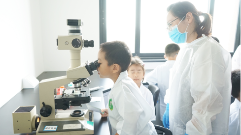 c2a31b72c5f4418d9244f952ae3f3c00.png c2a31b72c5f4418d9244f952ae3f3c00.png