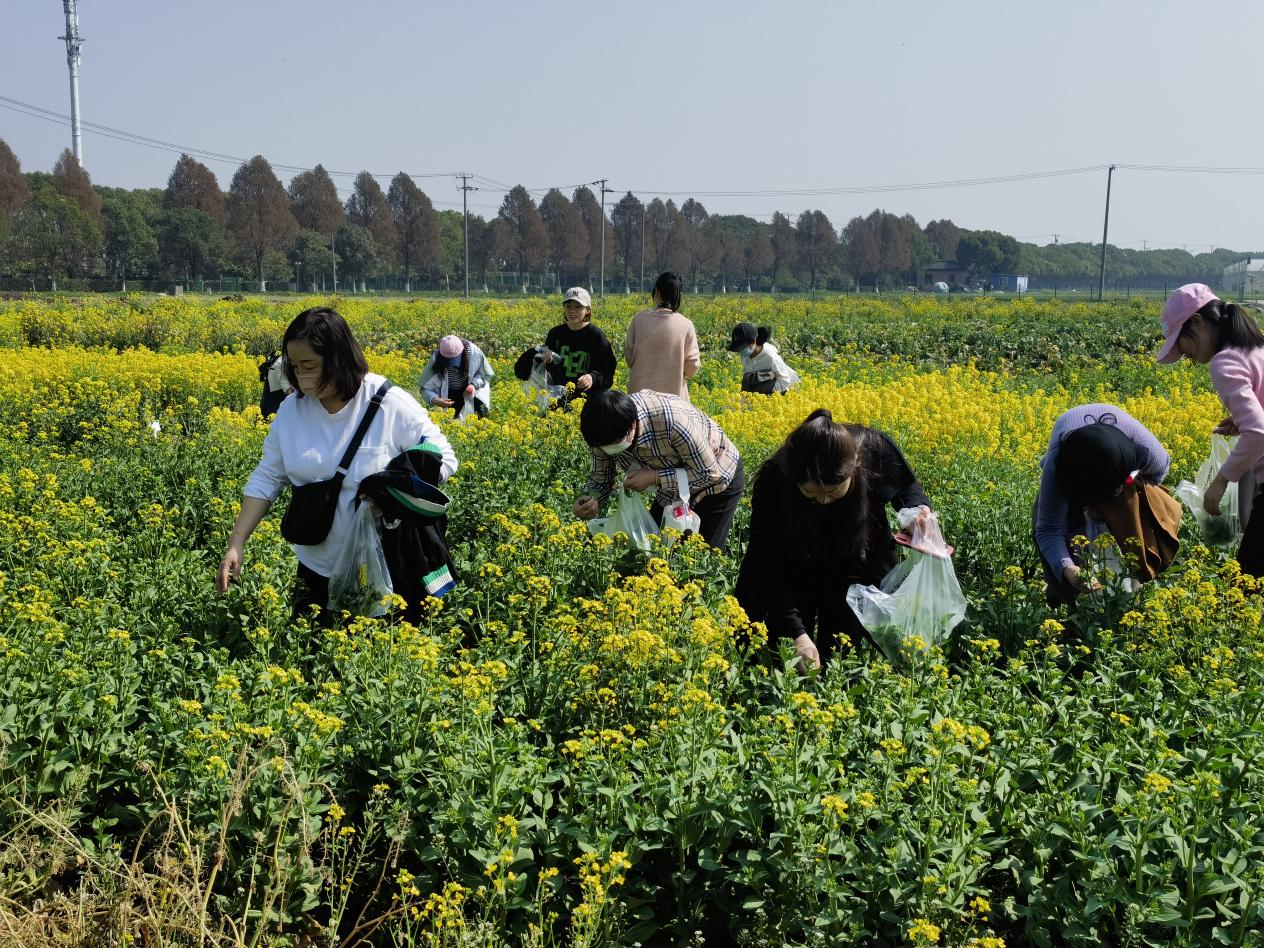 c2d3ff0c7f9c44e8b1256614d487315f.png c2d3ff0c7f9c44e8b1256614d487315f.png