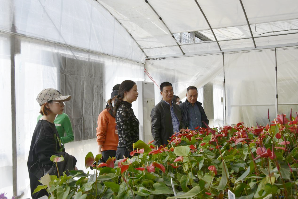 dc59940c67cd4852bed88f8fb431f181.png dc59940c67cd4852bed88f8fb431f181.png