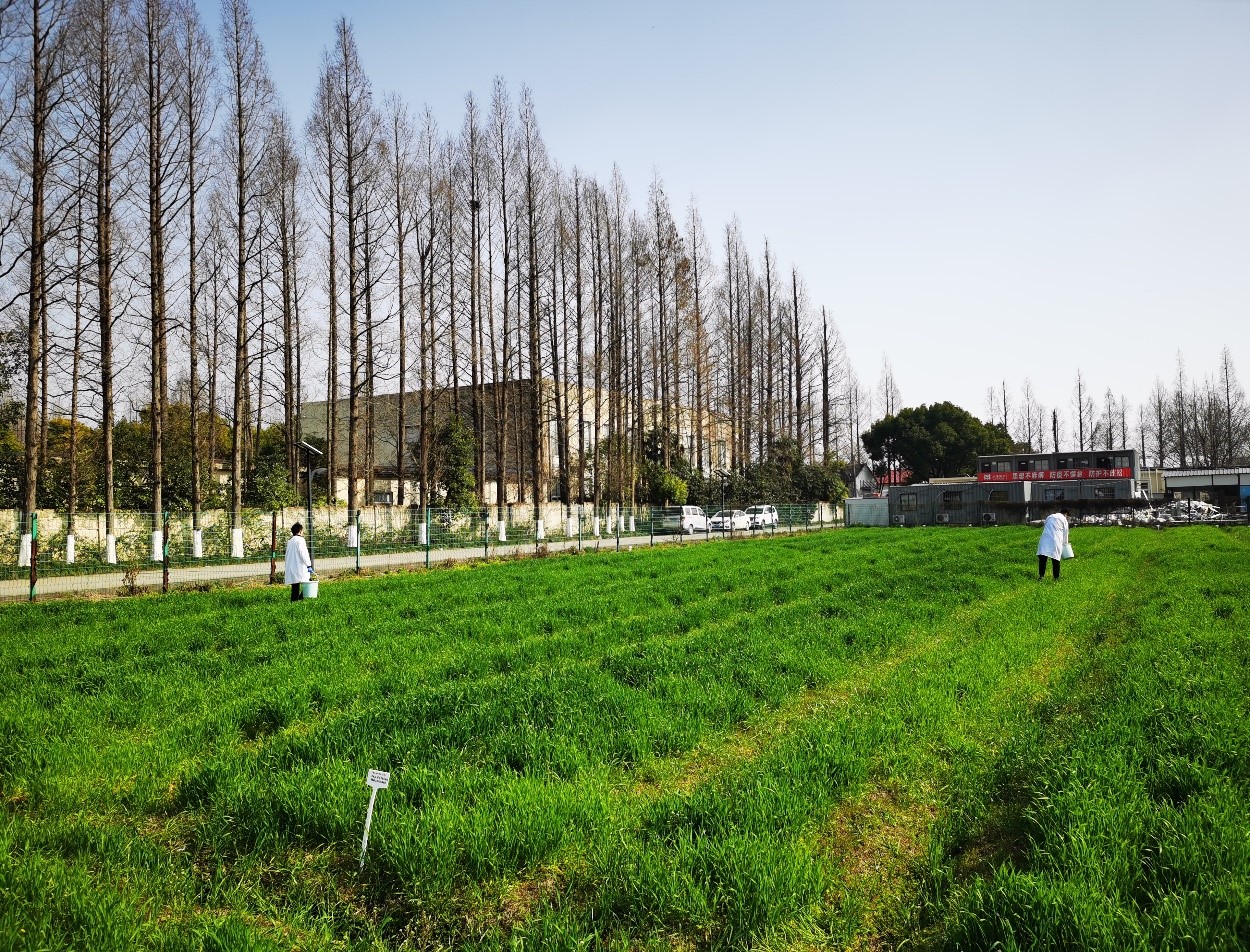 1e6224e0a30f4124b66041256d4668a1.jpg 1e6224e0a30f4124b66041256d4668a1.jpg