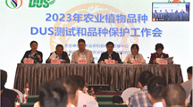 我院科研人员参加2023年农业植物品种DUS测试和品种保护工作会