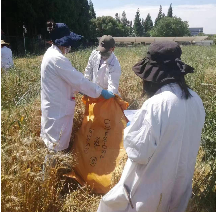 af4b663d884144bba8f2c043752a53bd.png af4b663d884144bba8f2c043752a53bd.png