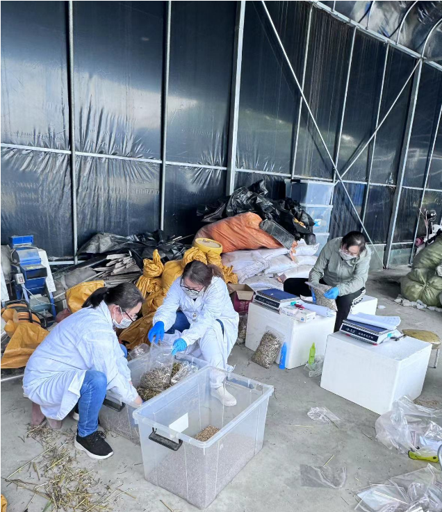 f37071e5e3bc45319e40a43d1c73276d.png f37071e5e3bc45319e40a43d1c73276d.png