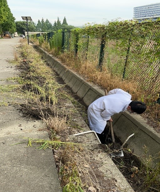 aefb2524e9524a218882c858bb3eb460.jpg aefb2524e9524a218882c858bb3eb460.jpg