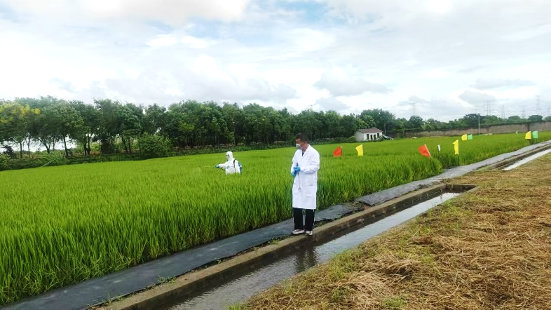 16075b1df1444c37a0bc90df4cf6cff9.png 16075b1df1444c37a0bc90df4cf6cff9.png