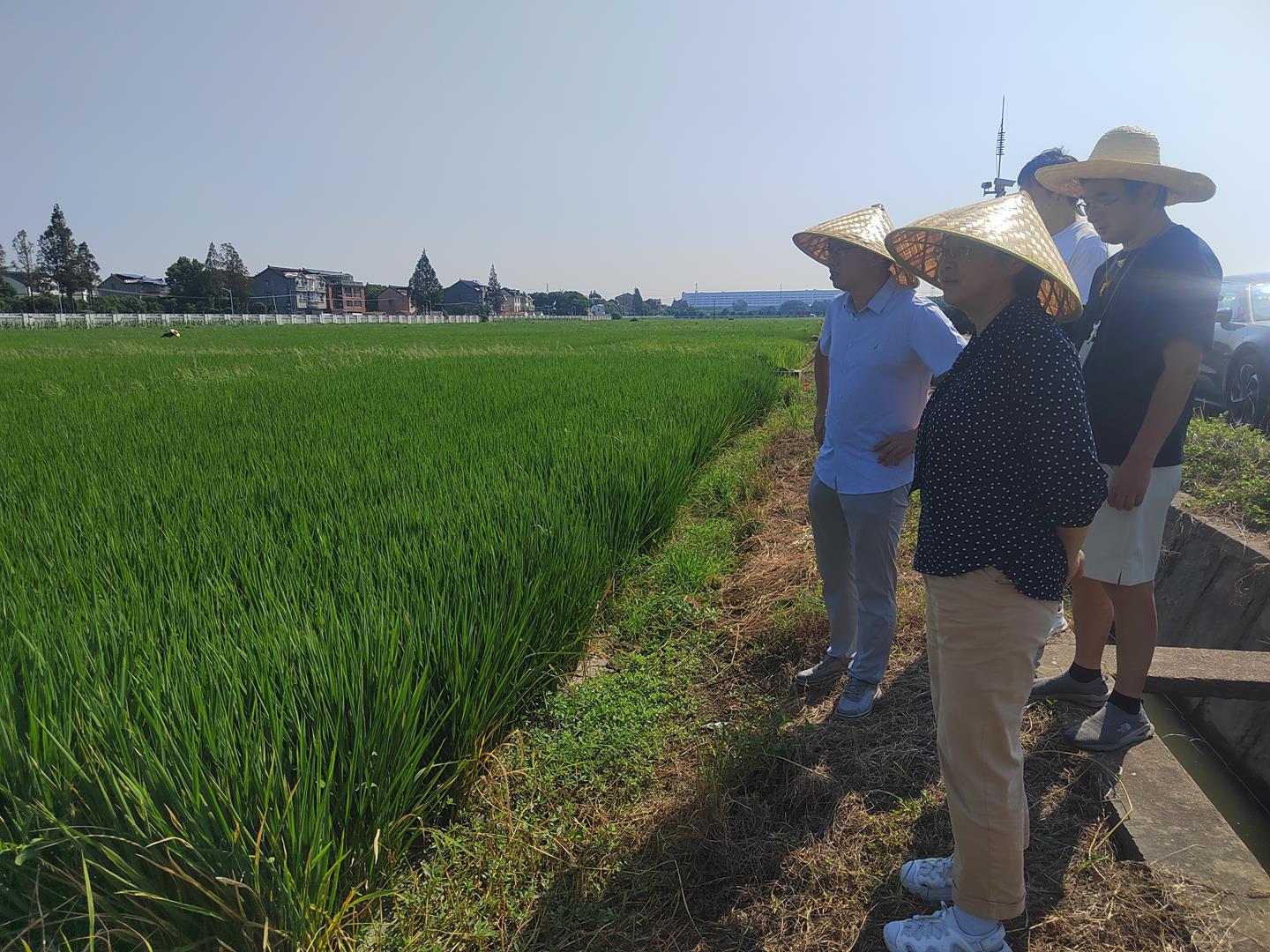 ae5bdb4d26e446899c58afd3d9ac69f3.jpg ae5bdb4d26e446899c58afd3d9ac69f3.jpg