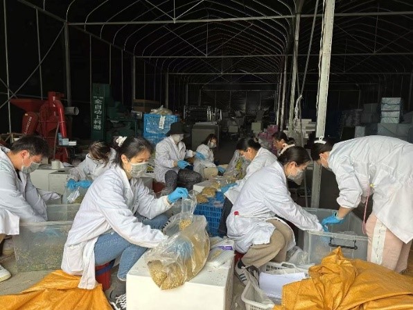 0fbc5ec79d46436fad5bf825fbb93681.jpg 0fbc5ec79d46436fad5bf825fbb93681.jpg