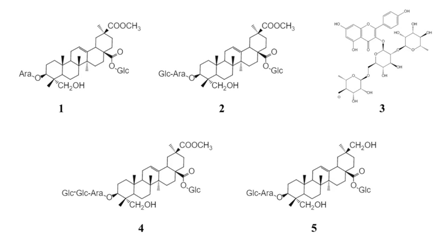 6bc67ace90a34052914ab429fe2162bc.png