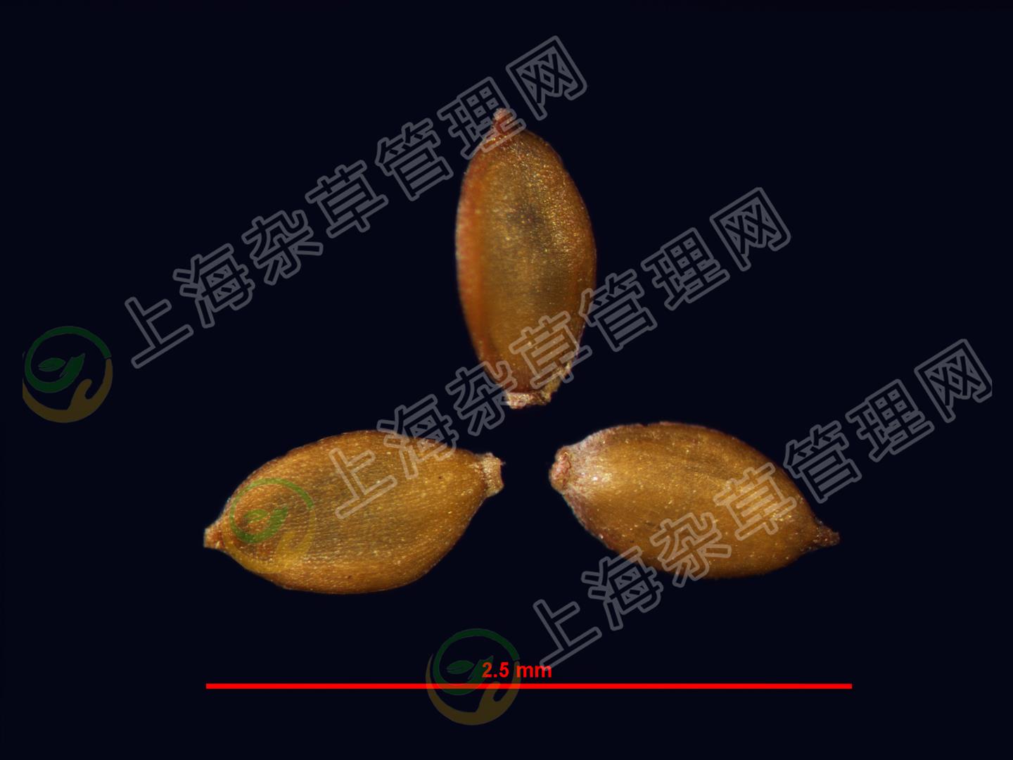 e2a88655bf2e410fb8a6e53536d585aa.jpg
