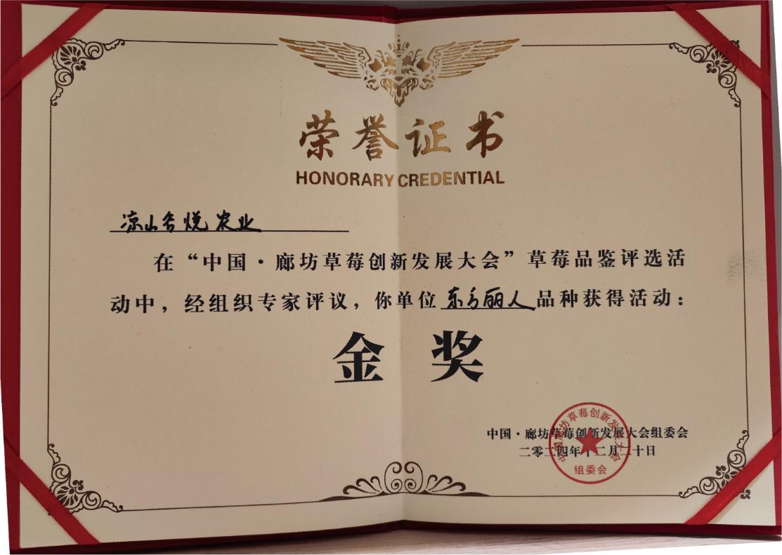 03f0e3acbf074076b3def5a343845b20.Png