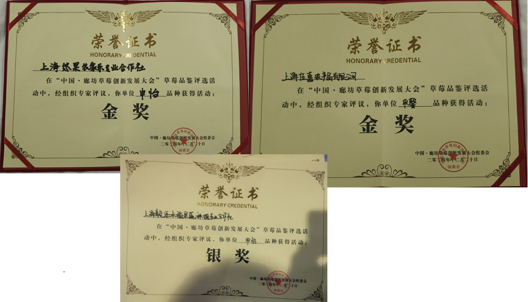 7589a5a532d948558b1270c667a908dd.Png