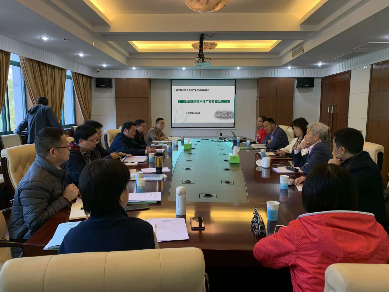 上海市水稻产业技术体系专项《稻田杂草防除技术推广和专家系统研发》通过验收