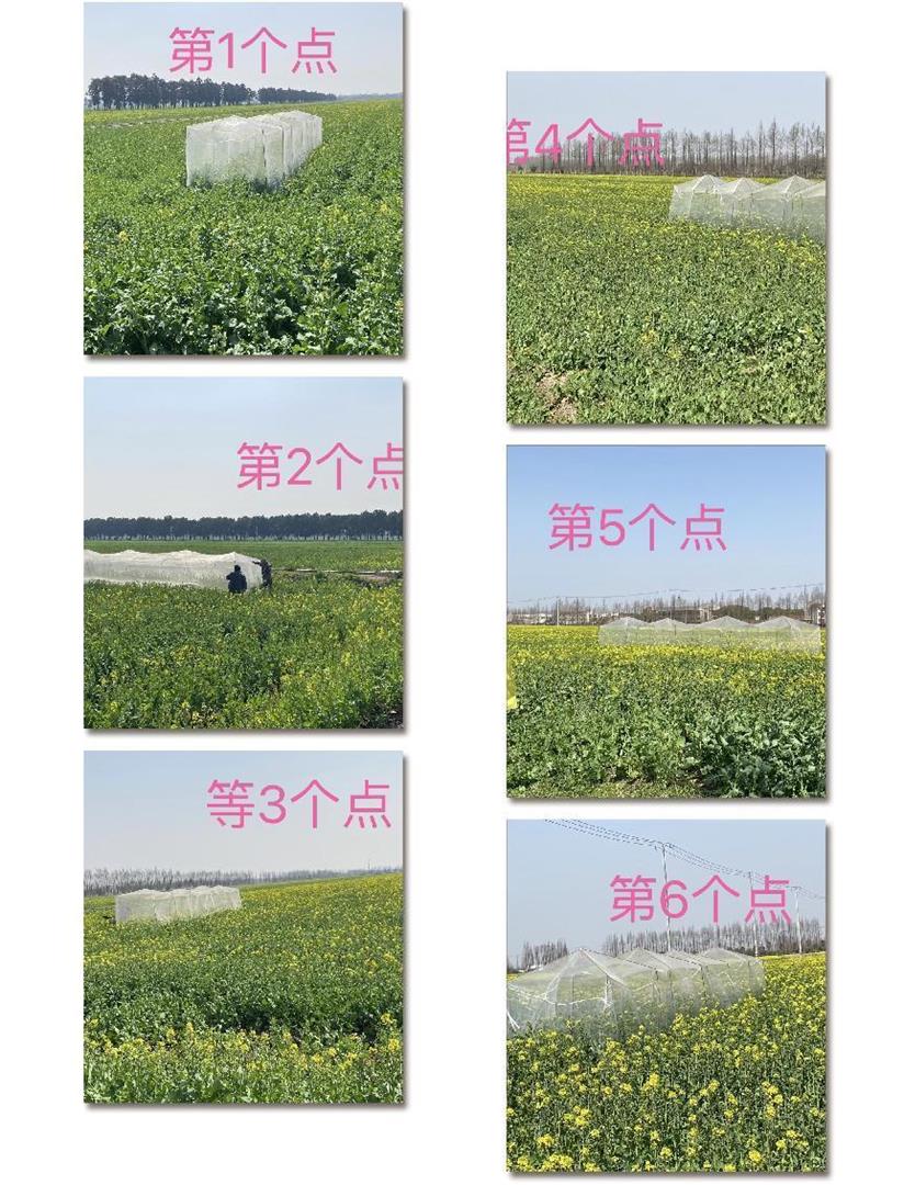 b9810a54903547d98fc255d5832ef145.Jpeg