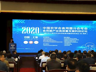 百信参加“2020年中国农学会食用菌分会年会—食用菌产业高质量发展科技论坛暨纪念上海市农业科学院食用菌研究所成立60周年”大会