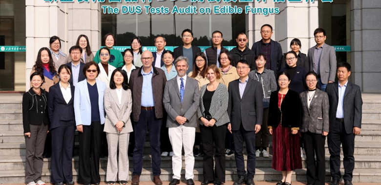 欧盟食用菌品种DUS测试质量评估工作会在上海市农业科院召开