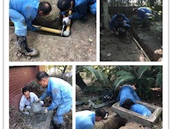 高温过后不能忘记的供能守护人