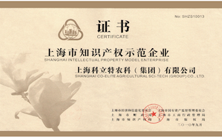 上海市知识产权示范企业