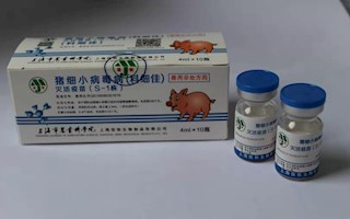 猪细小病毒病灭活疫苗（S-1株）