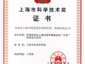 2016上海市科学技术奖三等奖——优质鲜食加工兼用型草莓新品种‘久香’的育成与应用