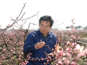 叶正文　研究员　果树品种选育及栽培技术