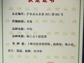 上海市认定品种-申怡草莓（2021年）