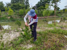 【专题】“一村万树”博士服务种植养护技术指导团队工作（6月29日）