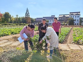 【专题】“一村万树”博士服务种植养护技术指导团队工作（10月24日）