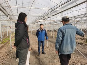 【先行区共建】林果所葡萄团队赴金山开展葡萄生产技术指导和培训