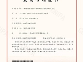 授权专利：一种根癌农杆菌介导的桃熏草莓遗传转化方法