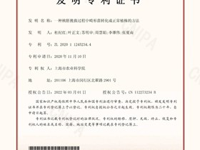 授权专利：一种桃胚挽救过程中畸形苗转化成正常植株的方法