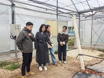 北京农林科学院张玮研究员来沪指导葡萄产业