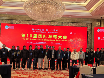 我院林果所草莓科技人员参加第10届国际草莓大会