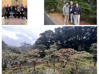 我院林果所科技人员参加2025年东京国际山茶大会