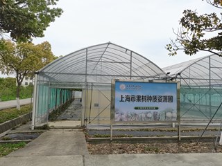 上海市果树种质资源圃
