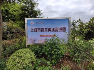 上海市花卉种质资源圃