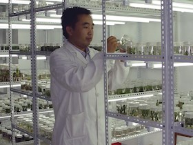 郑洪建 研究员 玉米生物技术与分子育种