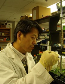 高清华　研究员　果树遗传育种技术及应用研究